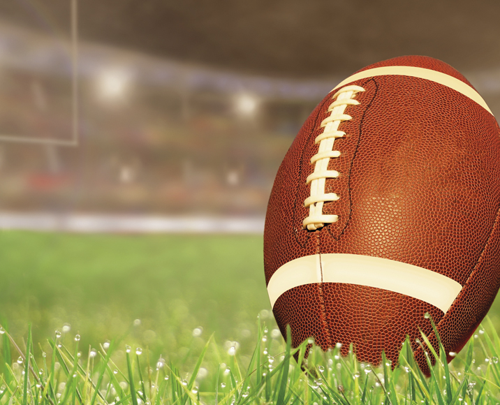 Suivez La Coupe Du Monde De Rugby Avec Le Calendrier Des Matchs Square Habitat Square Habitat Nord De France