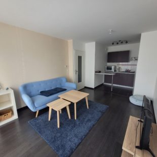 Location appartement meublé à Wattignies