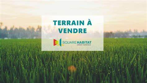 Terrain Constructible Rely 1182 m2